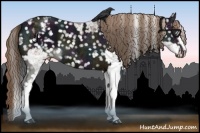 Horse Color:White Spotted Brown Ice Sabino  and White Spotted Midnight Liver Chestnut Ice Sabino Appaloosa 