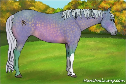 Horse Color:Watercolor Silver Buckskin 