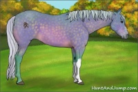 Horse Color:Watercolor Silver Buckskin 