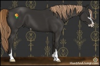 Horse Color:Liver Chestnut Sabino 