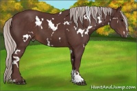 Horse Color:White Spotted Chocolate Silver Brown Sabino 