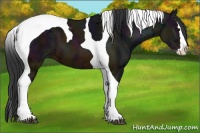 Horse Color:Midnight Brown Ice Splash Tobiano Varnish