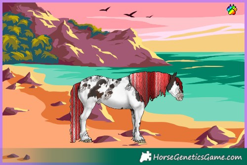 Horse Color:Painted White Spotted Bay Splash Tobiano