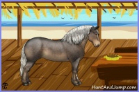 Horse Color:Liver Red Roan 