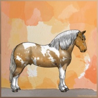 Horse Color:White Spotted Silver Bay Tobiano