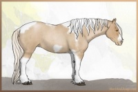 Horse Color:Silver Blue Roan Pearl Tobiano Frame 