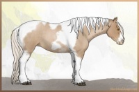 Horse Color:Silver Blue Roan Pearl Tobiano Frame 