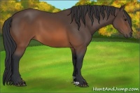 Horse Color:Brown 