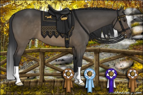 Horse Color:Brown Dun Brindle 