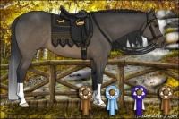 Horse Color:Brown Dun Brindle 