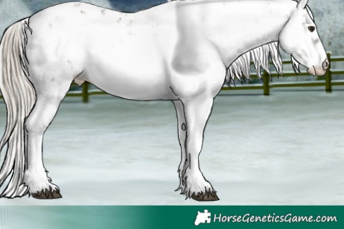 Horse Color:Liver Red Onyx Sabino Brindle 