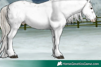 Horse Color:Liver Red Onyx Sabino Brindle 