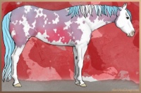 Horse Color:Watercolor White Spotted Bay Splash 