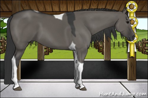 Horse Color:Grullo Tobiano