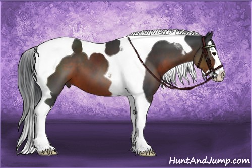 Horse Color:Brown Splash Tobiano 
