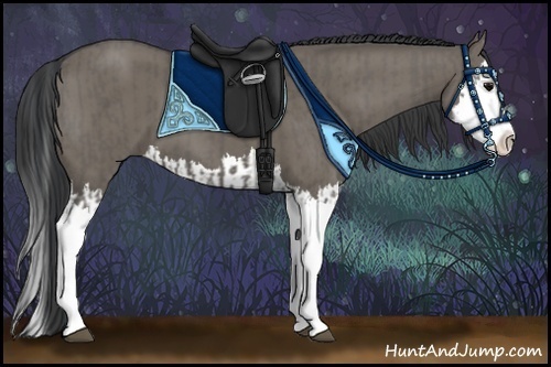 Horse Color:Grullo Sabino Splash and Grullo Sabino Splash