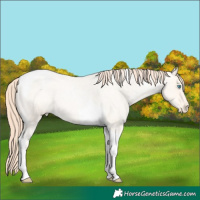 Horse Color:Amber Cream Champagne Roan Pearl Tobiano Varnish