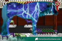 Horse Color:ERROR: UNKNOWN ANOMALY