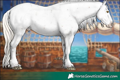 Horse Color:Sable Champagne Sabino Appaloosa  and White Spotted Gold Cream Champagne Pearl Appaloosa 