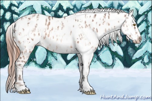 Horse Color:Sable Champagne Tobiano Appaloosa  and Sable Cream Champagne Pearl Sabino Appaloosa 