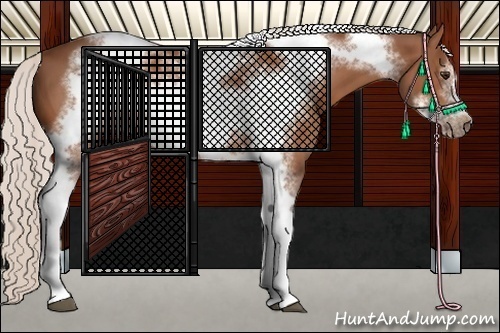 Horse Color:Silver Bay Tobiano Frame