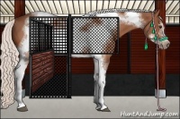 Horse Color:Silver Bay Tobiano Frame