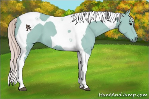 Horse Color:Watercolor Silver Black Tobiano 