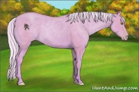 Horse Color:Watercolor Silver Classic Cream Champagne 