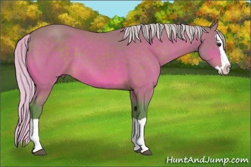Horse Color:Watercolor Silver Brown Splash 