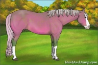 Horse Color:Watercolor Silver Brown Splash