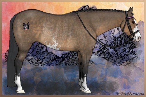 Horse Color:Brown Dun Sabino Rabicano 