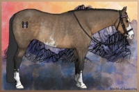 Horse Color:Brown Dun Sabino Rabicano 