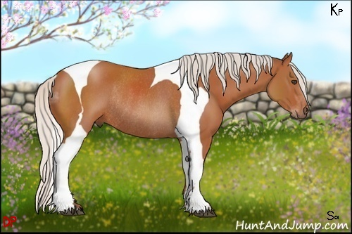 Horse Color:Silver Bay Tobiano Rabicano