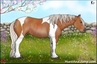 Horse Color:Silver Bay Tobiano Rabicano