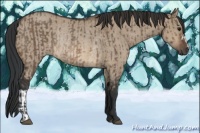 Horse Color:Brown Dun Rabicano  and Brown Dun Rabicano 
