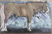 Horse Color:Silver Grullo Ice Splash 