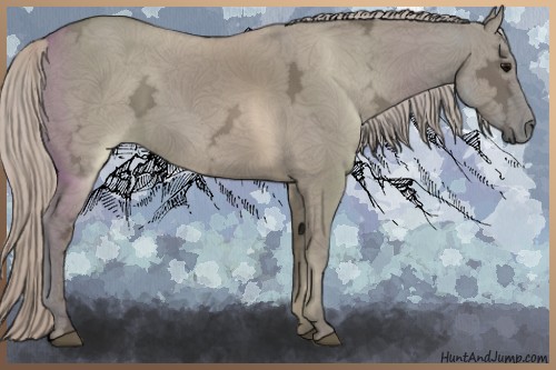 Horse Color:Silver Grullo Ice 