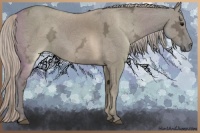Horse Color:Silver Grullo Ice
