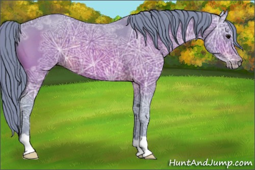 Horse Color:Watercolor Brown Ice Rabicano 