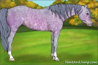 Horse Color:Watercolor Brown Ice Rabicano