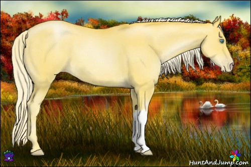 Horse Color:Palomino Pearl 