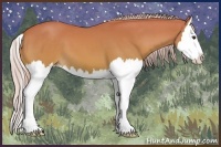 Horse Color:Palomino Splash