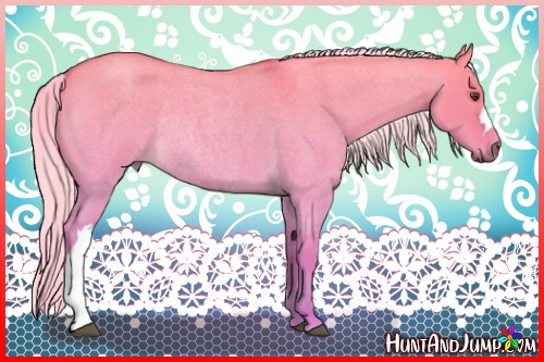 Horse Color:Palomino Roan Dun Rabicano 