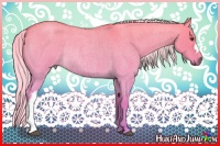 Horse Color:Palomino Roan Dun Rabicano 