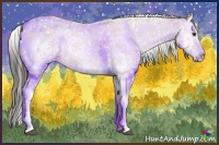 Horse Color:Buckskin Dun Sabino Splash 