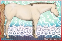 Horse Color:Buckskin Roan Pearl