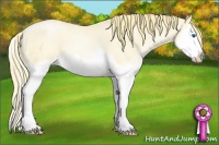 Horse Color:Buckskin Roan Pearl Splash 