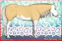Horse Color:Palomino Roan Splash 