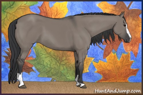 Horse Color:Grullo Sabino 
