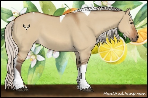 Horse Color:Silver Bay Dun Tobiano 